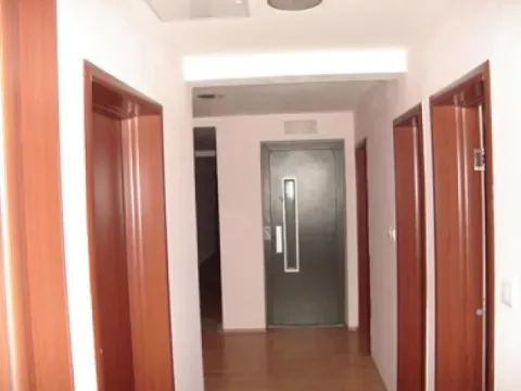 Izdavanje, poslovni prostor, 800m², Zemun Sve Podlokacije, Beograd - image 13