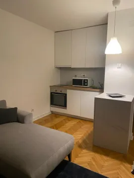Izdavanje, trosoban stan, 44m², Novi Beograd Blok 1 Fontana, Novi Beograd Sve Podlokacije - image 3