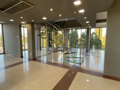 Izdavanje, poslovni prostor, 460m², Zabjelo, Podgorica - image 12