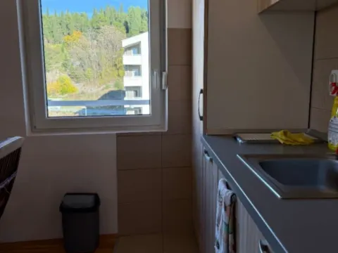 Izdavanje, dvosoban stan, 60m², Ljubović, Podgorica - image 6