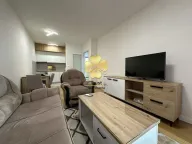 Izdavanje, jednosoban stan, 47m², Central Point, Podgorica - image 6