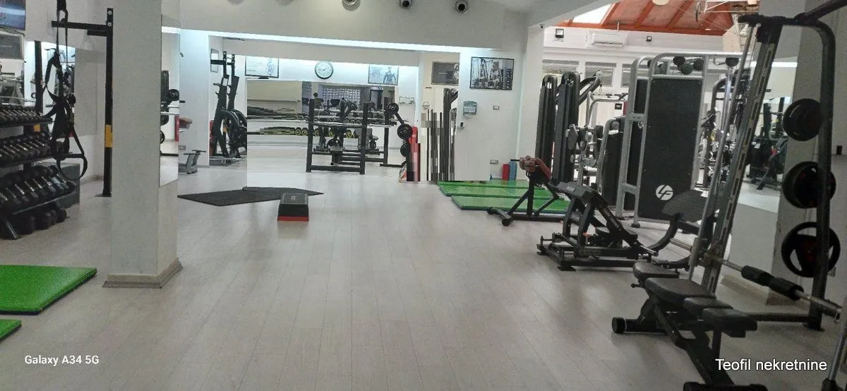 Prodaja, poslovni prostor, 1000m², Vračar, Šid
