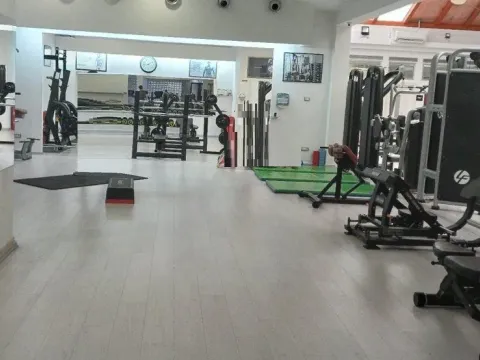 Prodaja, poslovni prostor, 1000m², Vračar, Šid - image 7