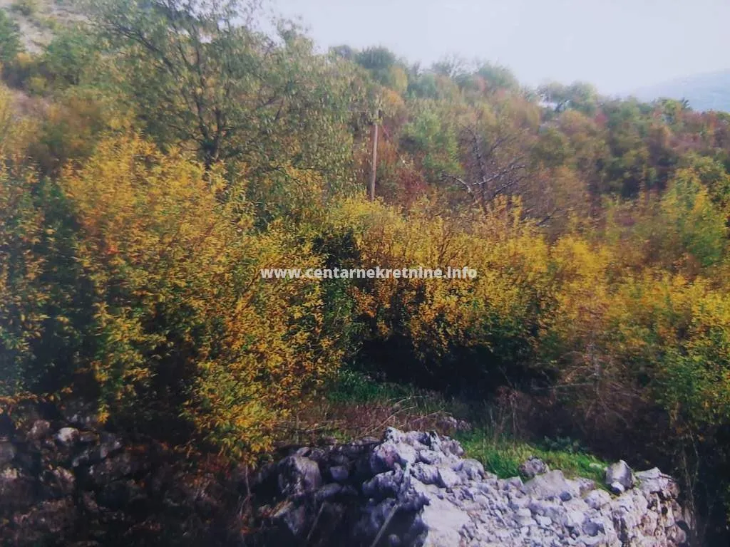 Prodaja, plac, 34826m², Bandići, Danilovgrad