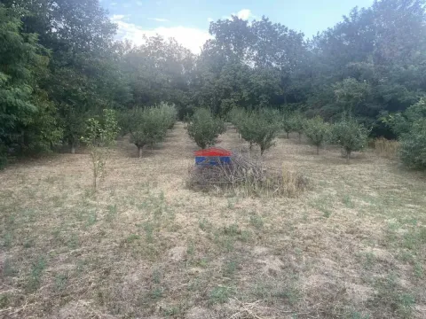 Prodaja, plac, 1400m², Inđija, Srbija - image 5