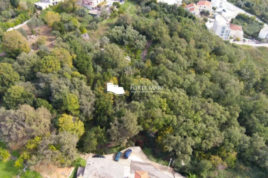 Prodaja, plac, 7800m², Topla, Herceg Novi