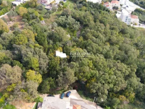 Prodaja, plac, 7800m², Topla, Herceg Novi - image 5