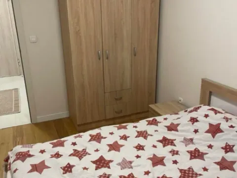 Izdavanje, jednosoban stan, 47m², Central Point, Podgorica - image 6