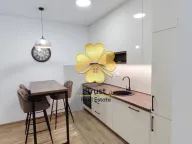 Rent, one bedroom apartment, 40m², Zabjelo, Podgorica - image 5