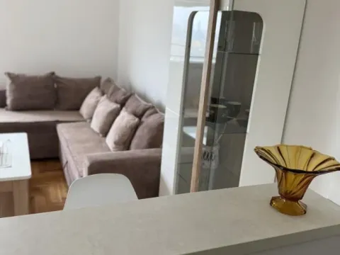 Izdavanje, jednosoban stan, 40m², Detelinara, Novi Sad Sve Podlokacije - image 2