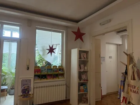 Rent, four bedroom apartment, 115m², Vračar Sve Podlokacije, Beograd - image 13