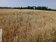 Prodaja, plac, 90m², Konatice, Obrenovac - image 3