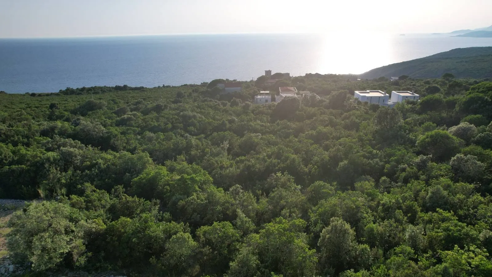Prodaja, plac, 1500m², Zagora, Kotor