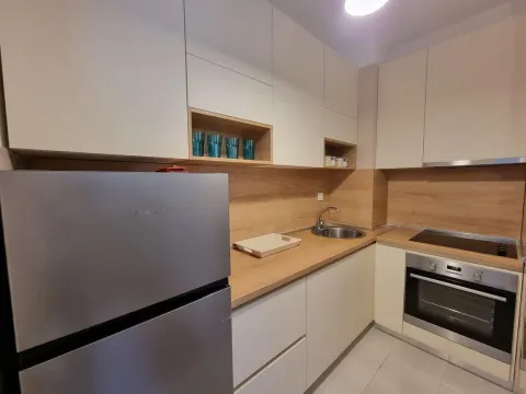 Izdavanje, jednosoban stan, 54m², Budva, Crna Gora - image 17