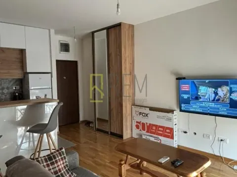 Izdavanje, garsonjera, 33m², Zagorič, Podgorica - image 3