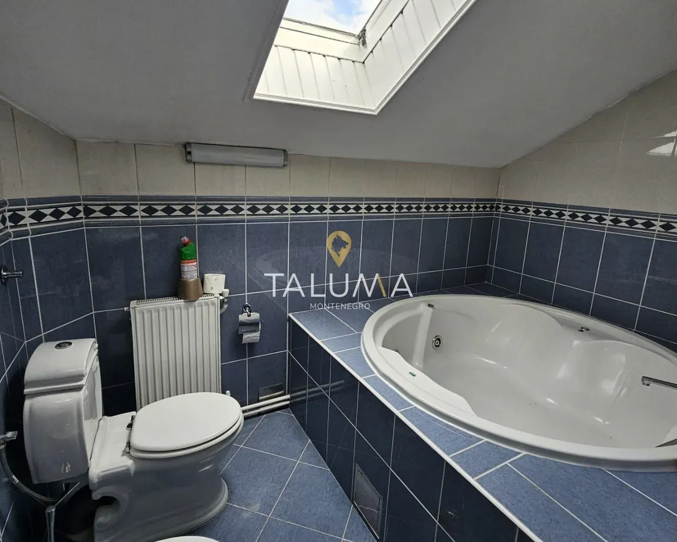 Rent, house, 250m², Zagorič, Podgorica