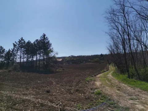 Prodaja, plac, 1235m², Novi Slankamen, Inđija - image 10