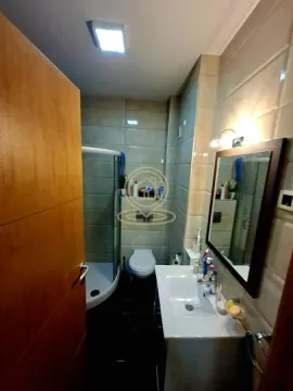 Rent, one bedroom apartment, 39m², Nova Detelinara, Novi Sad Sve Podlokacije - image 7
