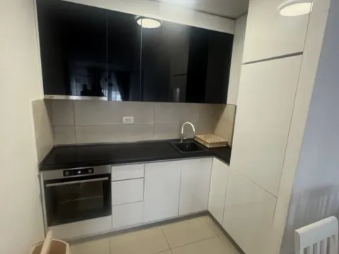 Izdavanje, jednosoban stan, 45m², Ljubović, Podgorica - image 9