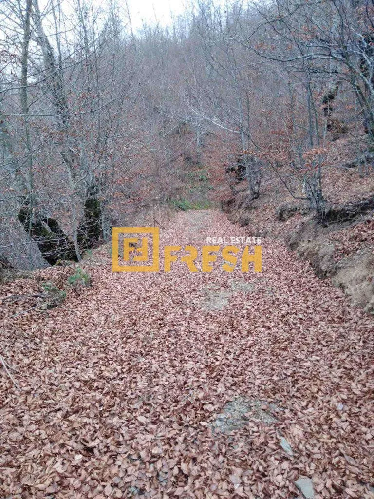 Prodaja, plac, 10000m², Ostalo, Podgorica