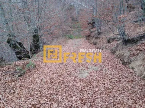 Prodaja, plac, 10000m², Ostalo, Podgorica - image 6