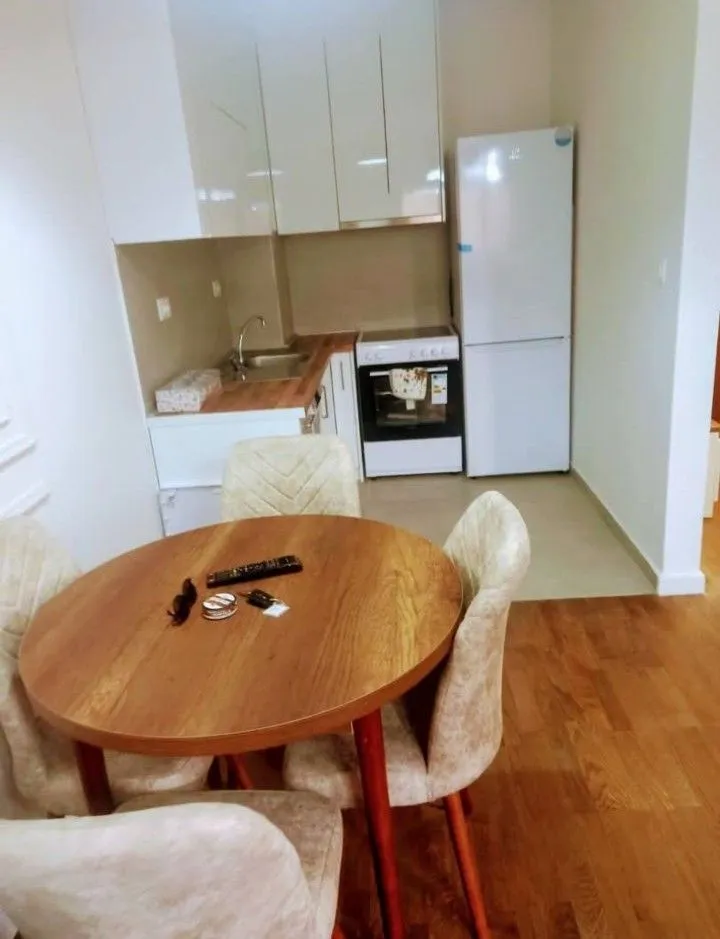 Izdavanje, jednosoban stan, 46m², Stari Aerodrom, Podgorica
