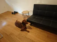 Izdavanje, jednosoban stan, 51m², Central Point, Podgorica - image 12