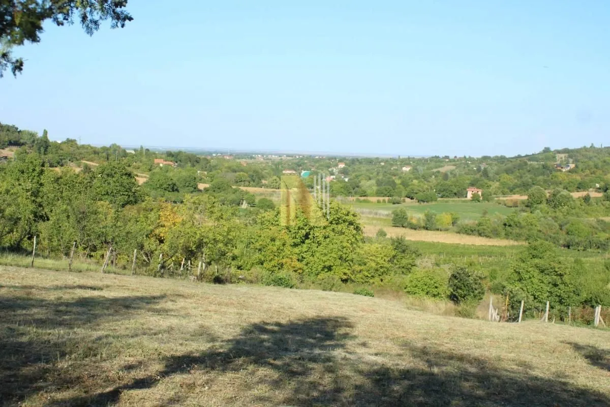 Prodaja, plac, 2000m², Sremska Kamenica, Petrovaradin