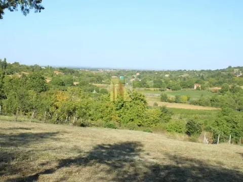 Sale, land lot, 2000m², Sremska Kamenica, Petrovaradin - image 3
