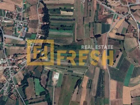 Prodaja, plac, 4400m², Zeta, Podgorica - image 2