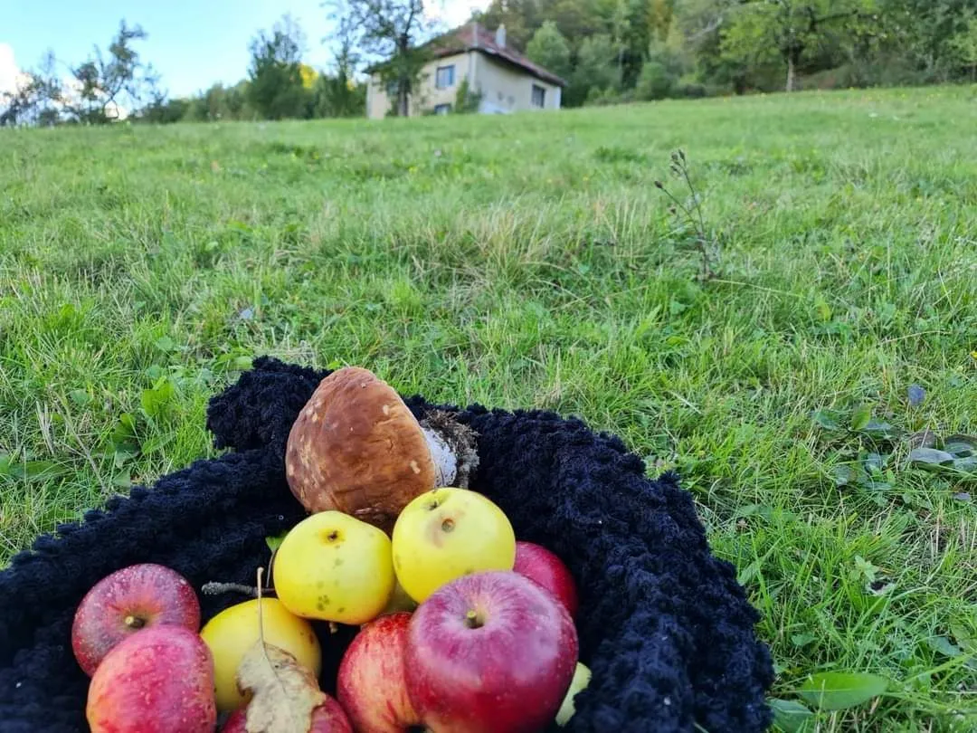 Prodaja, plac, 64450m², Bijelo Polje, Crna Gora
