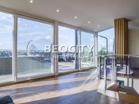 Prodaja, stan, 273m², Telep, Novi Sad Sve Podlokacije - image 10