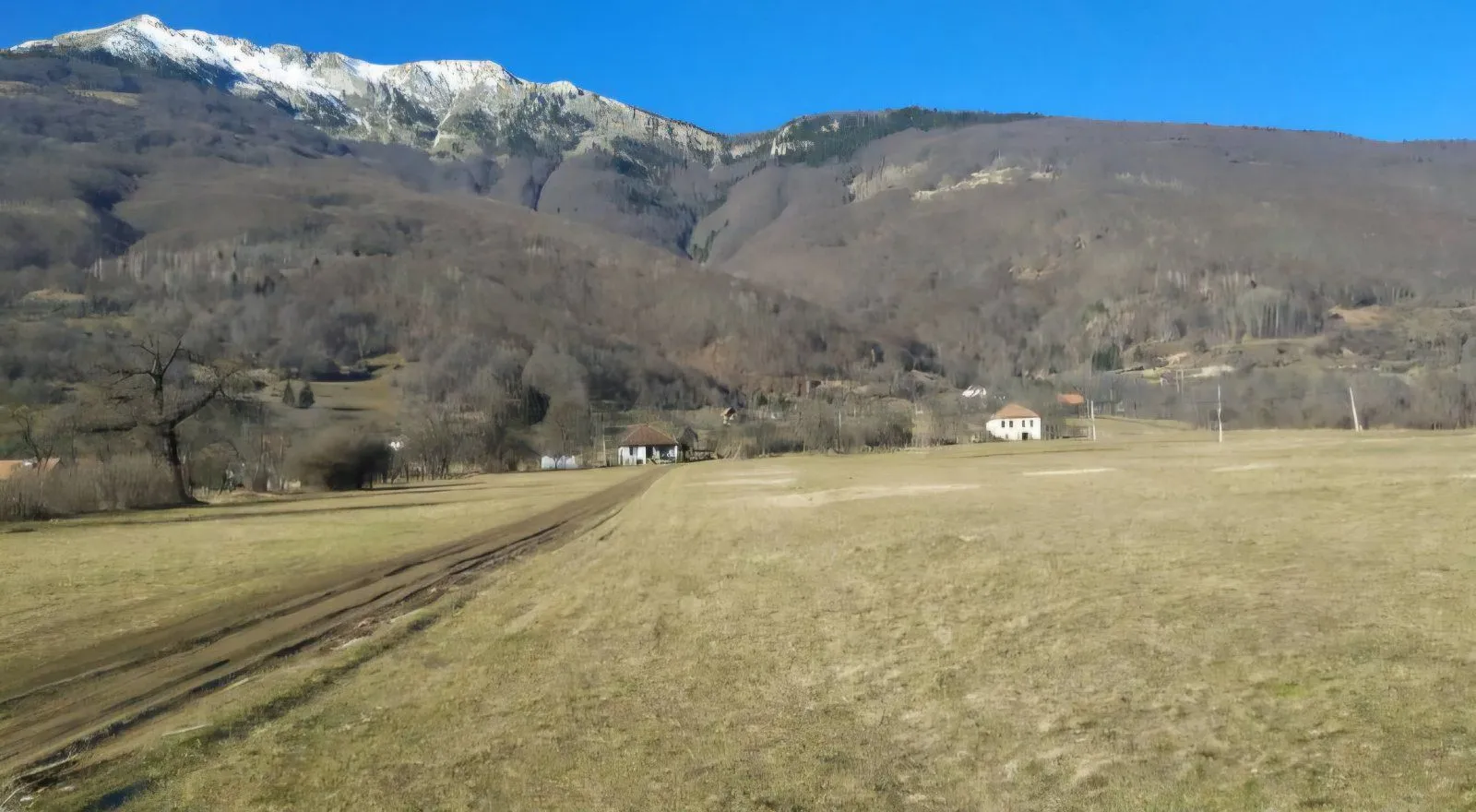 Prodaja, plac, 1000m², Centar, Plav