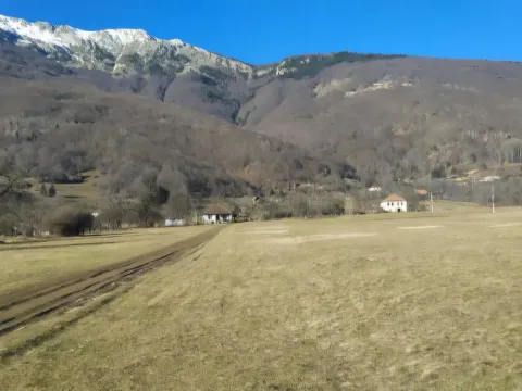 Prodaja, plac, 1000m², Centar, Plav - image 3
