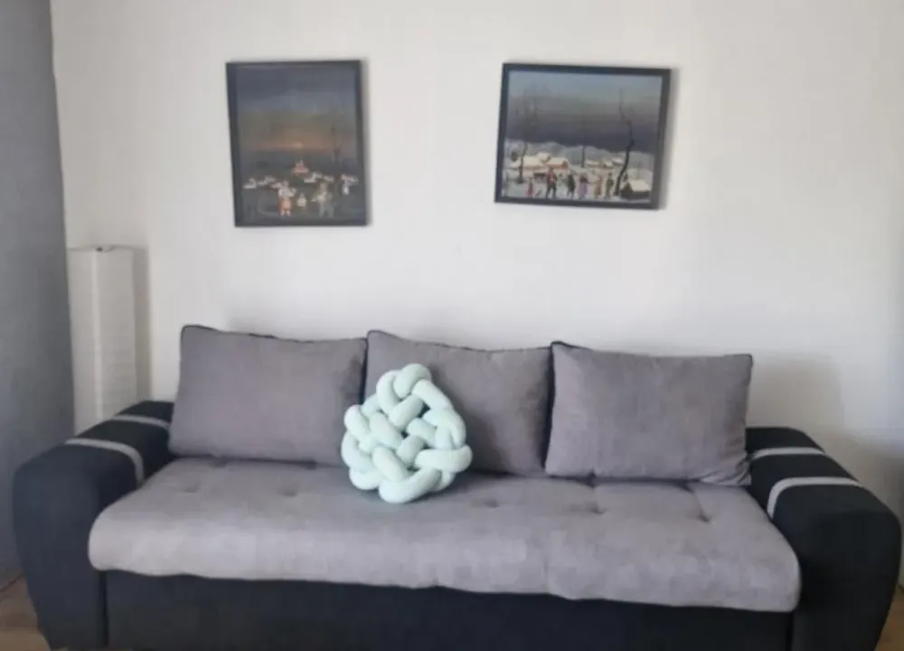 Rent, apartment, 24m², Krnjaca, Palilula Sve Podlokacije