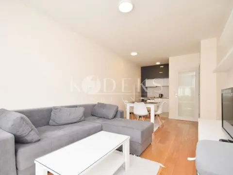 Izdavanje, jednosoban stan, 47m², Central Point, Podgorica - image 18