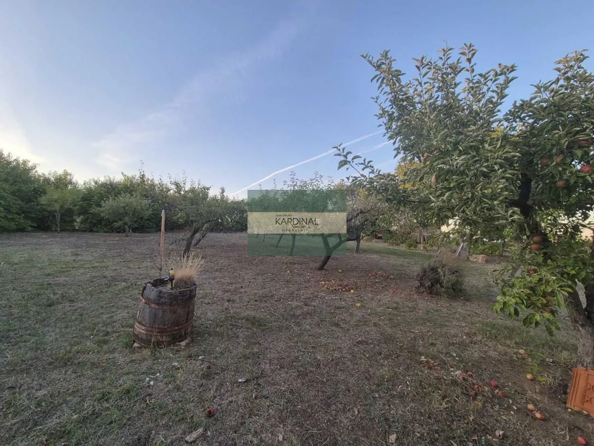 Prodaja, plac, 27920m², Siokovac, Jagodina