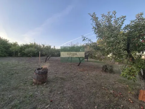 Prodaja, plac, 27920m², Siokovac, Jagodina - image 10