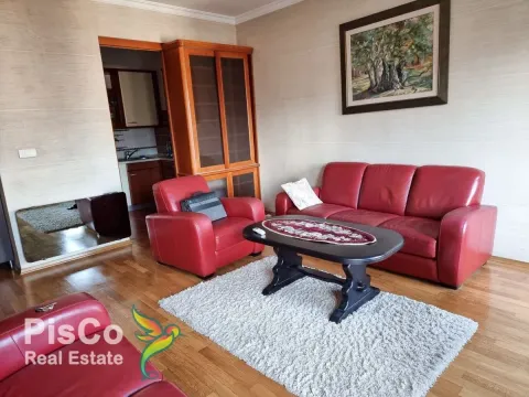 Izdavanje, jednosoban stan, 50m², Centar, Podgorica - image 1