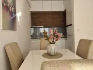 Rent, one bedroom apartment, 42m², Zabjelo, Podgorica - image 2