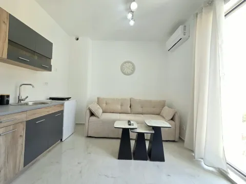 Living room with a sofa, coffee table, and a small kitchen. - image 3