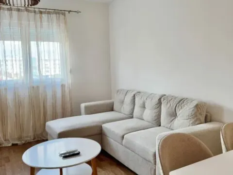 Izdavanje, jednosoban stan, 45m², Stari Aerodrom, Podgorica - image 9