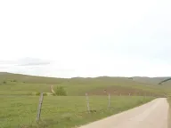 Prodaja, plac, 133175m², Gajevi, Zlatibor