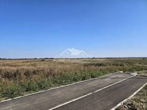 Prodaja, plac, 22200m², Dobanovci, Surčin - image 4