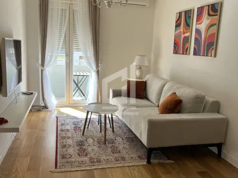 Rent, one bedroom apartment, 42m², Central Point, Podgorica - image 1