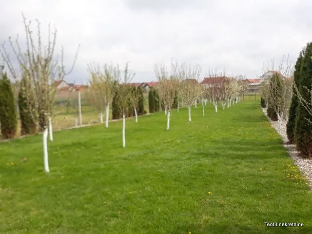 Prodaja, kuća, 450m², Nova Pazova, Stara Pazova