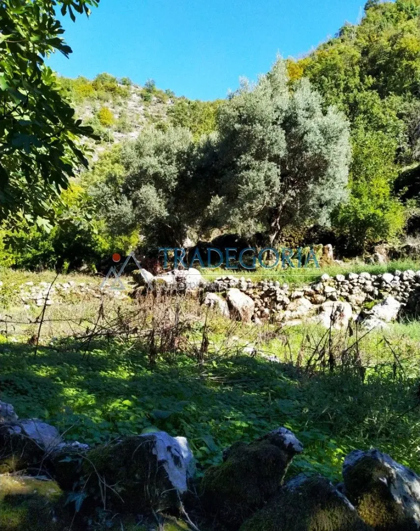 Prodaja, kuća, 210m², Podgorica, Crna Gora