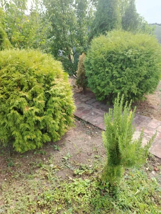 Sale, house, 89m², Banja Vrdnik, Irig