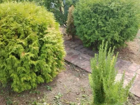 Sale, house, 89m², Banja Vrdnik, Irig - image 19