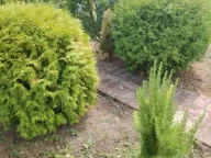 Prodaja, kuća, 89m², Banja Vrdnik, Irig - image 19